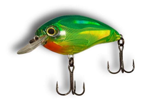 Fishing lure closeup